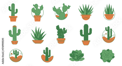 Various Cacti and Succulents in Pots Isolated on White