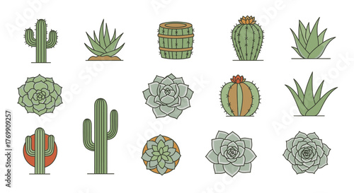 Cactus and Succulent Variety Collection Botanical Plants Flora Desert Life