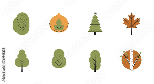 Diverse Tree Foliage Collection Forest Illustration Set