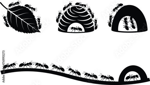 Ant colony vector illustration, black silhouette ants carrying leaf and building nest, teamwork insects walking in line, detailed wildlife and nature concept design