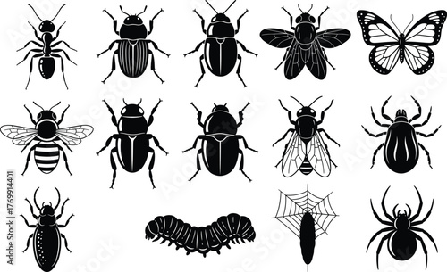 Collection of detailed insect vector silhouettes including beetles, flies, ants, butterflies, and spiders, black nature design illustration for science, education, and entomology