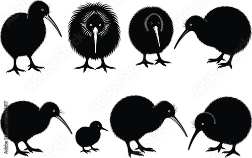 Collection of kiwi bird silhouettes, detailed black vector illustration of New Zealand flightless bird, wildlife nature concept, native animal species, conservation art design