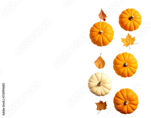 Vertical row of mini pumpkins and fall leaves on black