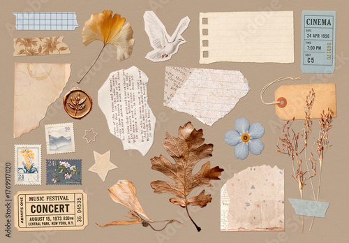 Vintage Collage With Dried Leaves Design Set