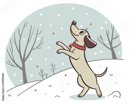 A cute dachshund dog is playing in the snow, trying to catch snowflakes