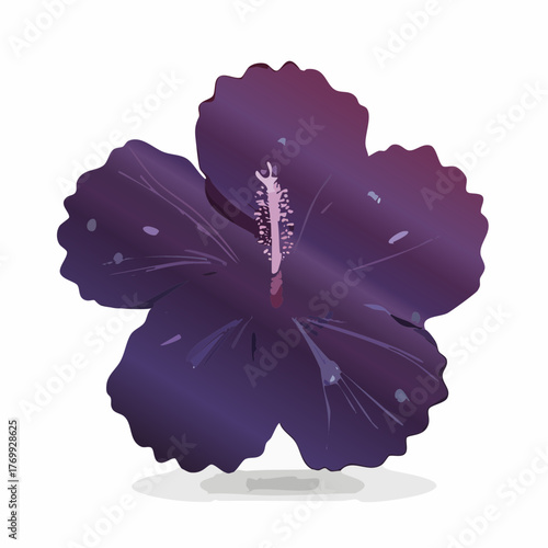 Purple Hibiscus Flowers Arrangement.
3