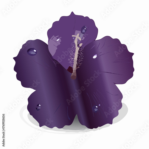 Purple Hibiscus Flowers Arrangement.
2