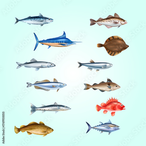 Realistic Detailed Assorted Fish Species Variety Aquatic Animal Illustration