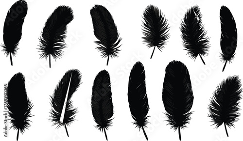 Black feather silhouettes collection, isolated bird plumage shapes, decorative quill set, natural wing elements, vector illustration for design and art