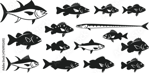 PrinSilhouette fish collection, marine species illustration, black and white aquatic animals, ichthyology reference, educational fish chart, underwater wildlife graphic