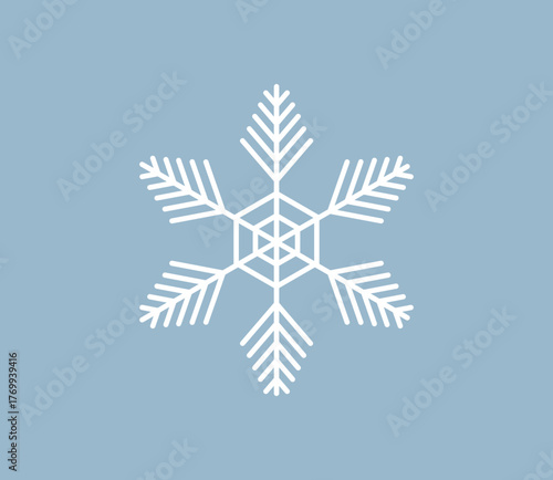 白い雪の結晶のアイコンイラスト　ベクター
