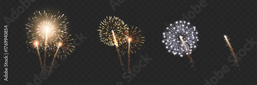 Vector Brightly Colorful Fireworks on the background of the night sky.