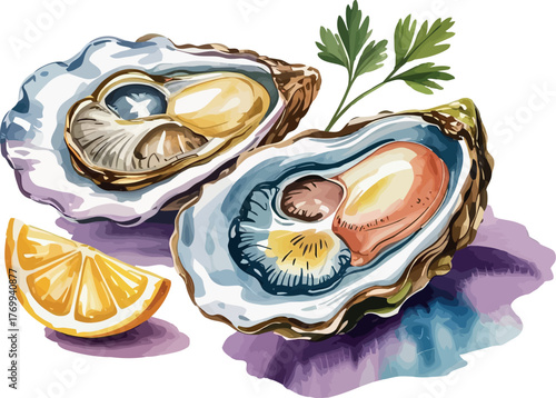 A beautifully rendered watercolor illustration depicts two freshly opened oysters with their succulent contents, alongside a vibrant lemon slice and a garnish of parsley. 