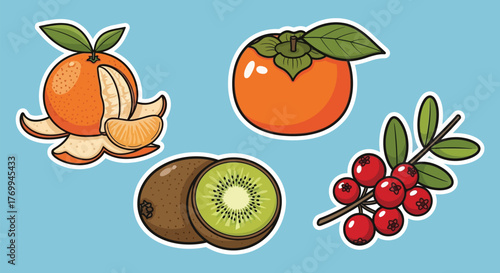 A colorful vector sticker set of various fresh fruits, including peeled tangerine, ripe persimmon, sliced kiwi, and red cranberries for healthy eating concepts