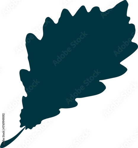 Hand-drawn oak leaf silhouette isolated on white background. Flat style vector illustration. 