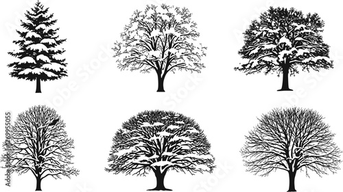 Black tree silhouettes vector illustration set, diverse species including conifer, deciduous, willow, winter leafless trees, decorative botanical elements, natural landscape artwork collection
