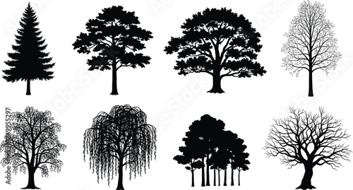 Black tree silhouettes vector illustration set, diverse species including willow, pine, deciduous, conifer, decorative botanical elements, natural landscape artwork collection for projects