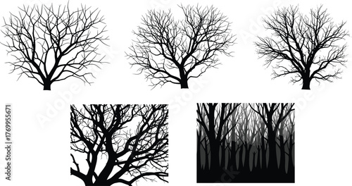 Leafless tree silhouette vector illustration set with abstract branching patterns, decorative forest artwork, whimsical curly designs, atmospheric nature inspired collection graphics