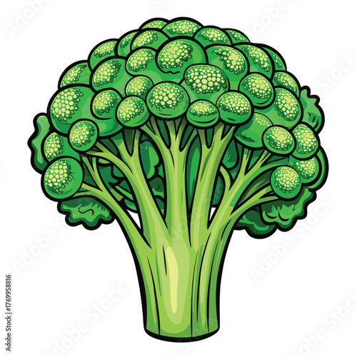 Broccoli line art vector icon detailed texture minimal design