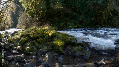 confluence. Two forest streams merging into a single river, blending water currents, mossy rocks, dappled sunlight through trees. ESG reports.