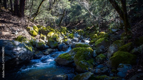 confluence. Two forest streams merging into a single river, blending water currents, mossy rocks, dappled sunlight through trees. ESG reports.
