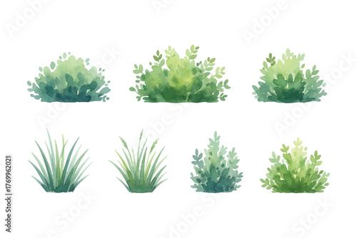 watercolor grass and bush illustration bundle element
