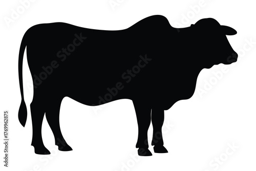 Brahman bull silhouette vector illustration, Brahman cow black silhouette 