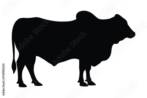 Brahman bull silhouette vector illustration, Brahman cow black silhouette 