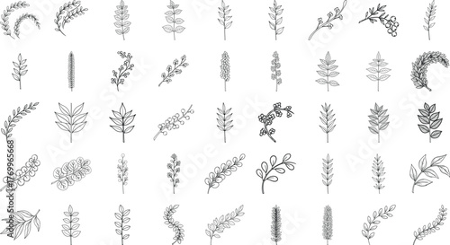 Extensive collection of minimalist line art botanical illustrations featuring various leaves, branches, and plant sprigs