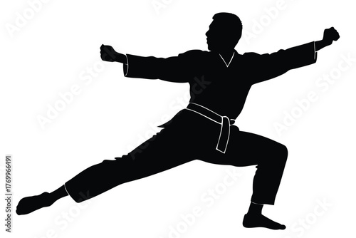 Silhouette of a karate fighter in a fighting stance, ready to strike