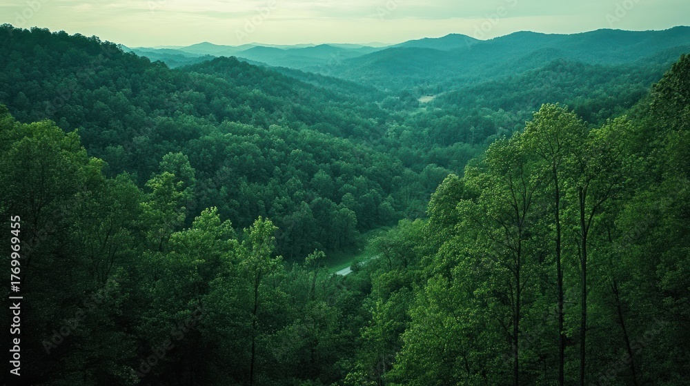 Obraz premium Lush green valley nestled between Appalachian mountains at twilight