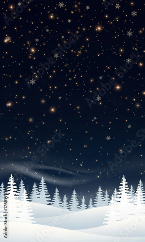 winter night landscape