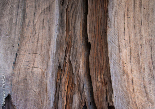 Old wood texture with natural patterns. Abstract background and texture for design.