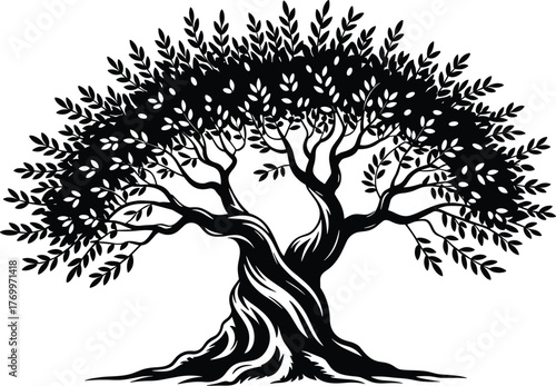 Black silhouette of an ancient twisted olive tree with dense foliage black and white ancient tree