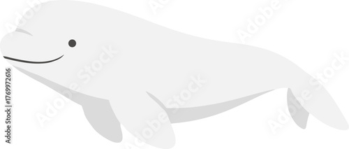 Simple Flat White Beluga Whale Illustration Aquatic Animal Graphic