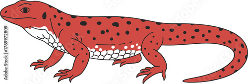 Cartoon Style Spotted Red Eft Salamander with Black Spots Illustration