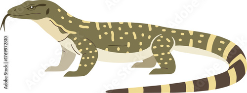 Simple Style Detailed Komodo Dragon Reptile Walking Wildlife Illustration