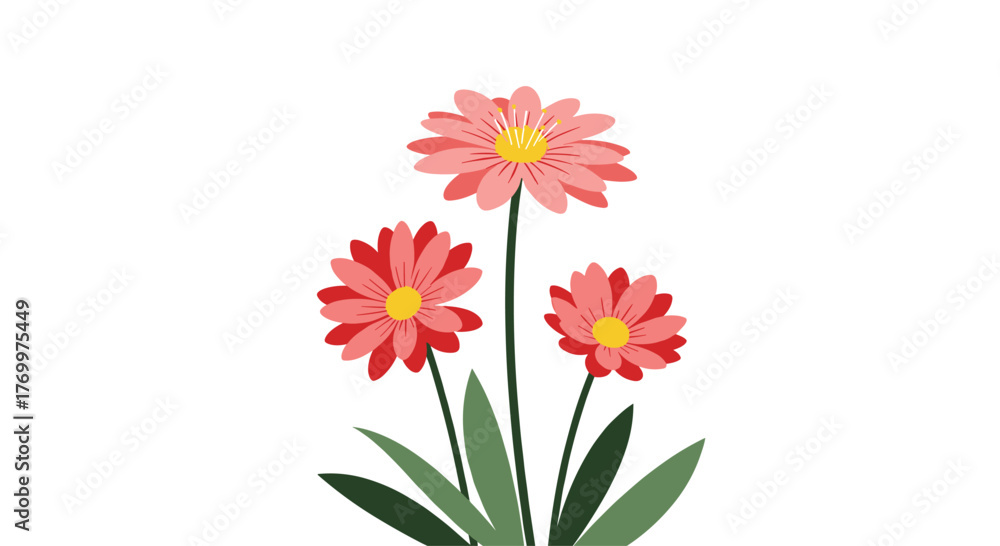 Fototapeta premium Vibrant pink and red daisy-like flowers with green stems and leaves, illustrated in a charming flat style on a white background.
