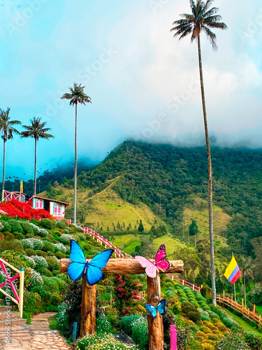Parque de la palma de cera en el Cocora. Colombia.