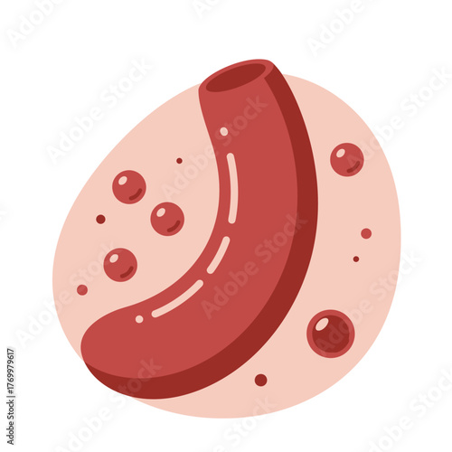Simplified cartoon illustration of a human blood vessel with red blood cells circulating within the bloodstream.