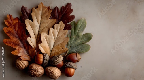Autumn Colorful Oak Leaves Acorns Walnuts Negative Space Background Multi-purpose Material for Graphic Design, Marketing & Decoration