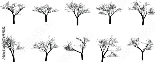 Silhouette trees in black and white a graphic representation of nature in abstract form for creative projects