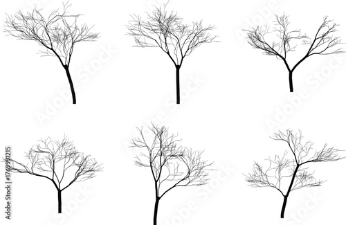 Silhouetted Trees Arrayed on a White Background for Graphic Design and Creative Projects