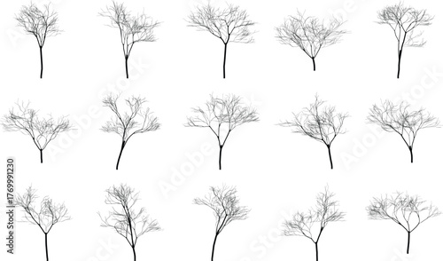 Set of minimalist trees silhouettes with bare branches on a white background for graphic design projects
