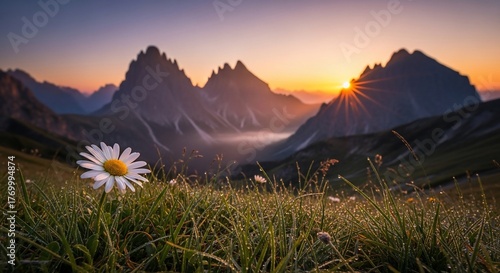 Stunning Mountain Sunrise with Daisy in Foreground.
