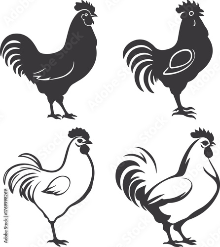 rooster and hen