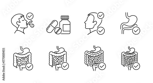 Health and Wellness Icons Digestive System Medication and Recovery. Vector Illustrations. EPS Editable
