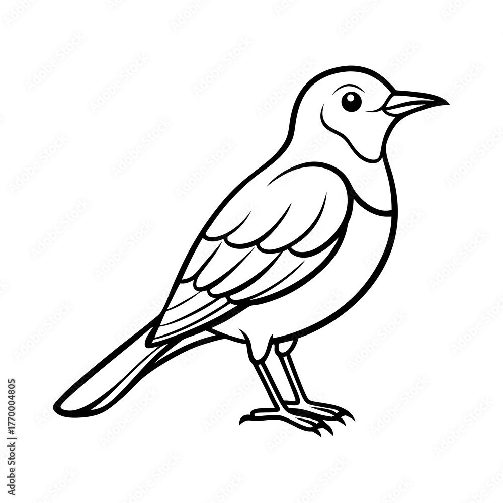 Obraz premium Line Drawing of Bird with Detailed Feathers