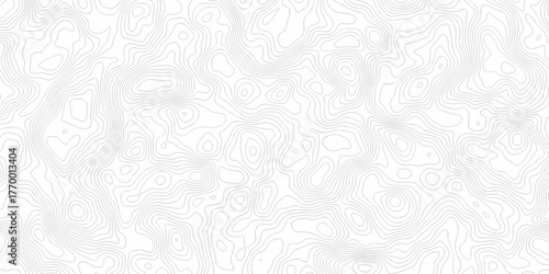 Abstract minimal The patter discovery vector topo map creative discovery White wave grid stripe line map topography texture. vector geographic contour mounted map background.	
