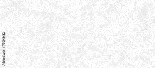 Abstract minimal The patter discovery vector topo map creative discovery White wave grid stripe line map topography texture. vector geographic contour mounted map background.	
